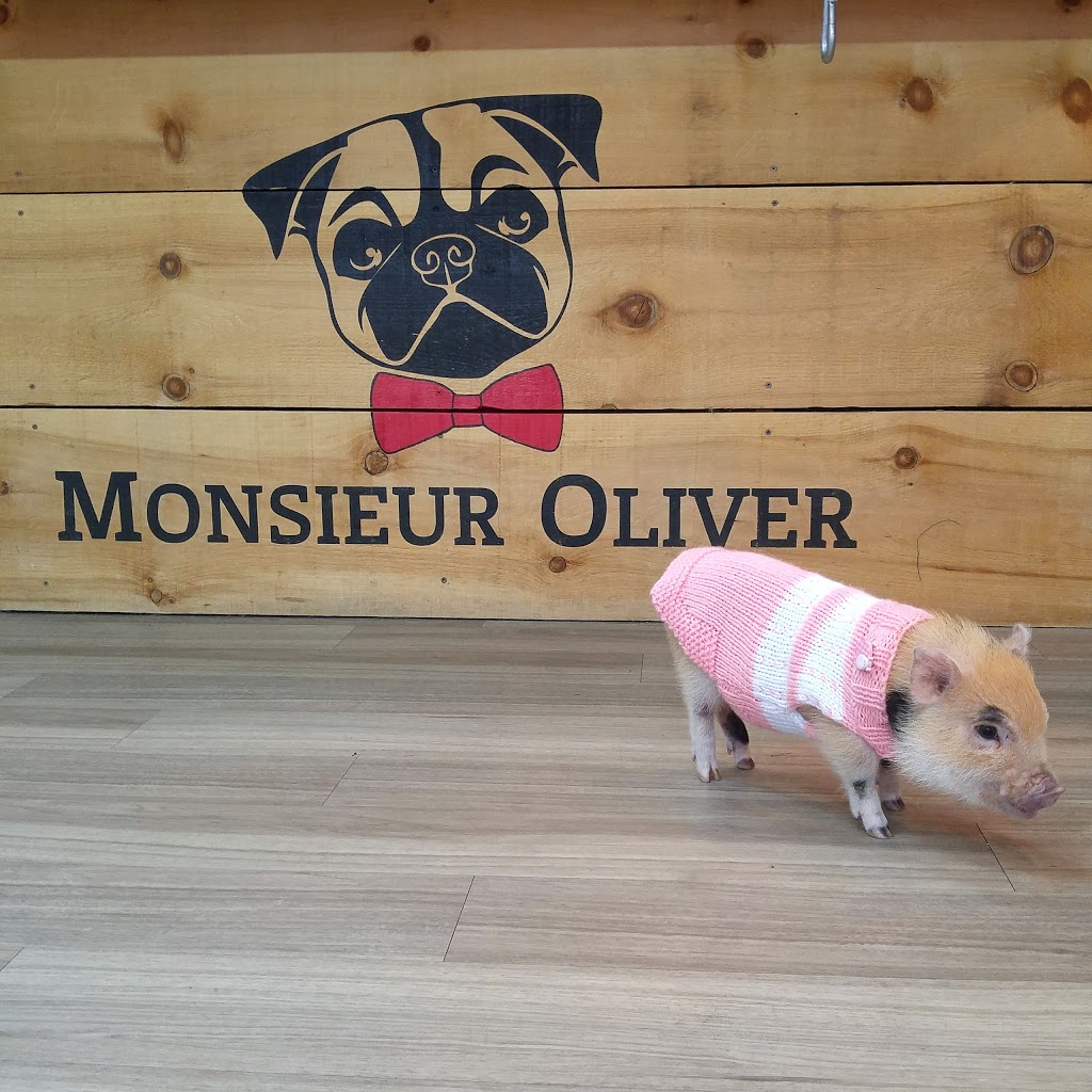 Monsieur Oliver | 15065 Boulevard Henri-Bourassa, Québec, QC G1G 3Z5, Canada | Phone: (418) 914-0880