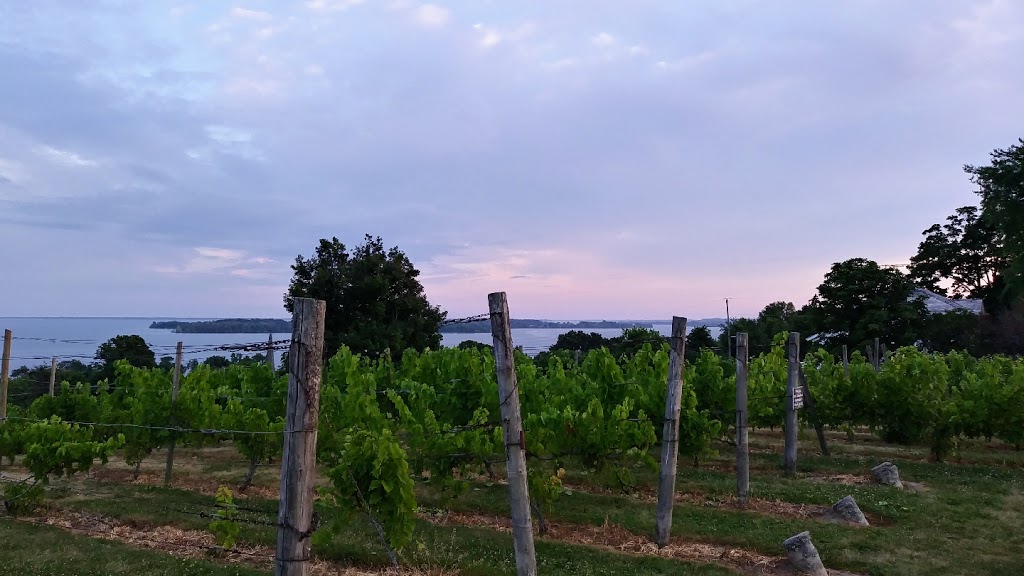 Unofficial Wine Tours | 143 County Rd 3, Belleville, ON K8N 4Z7, Canada | Phone: 613.813.5450