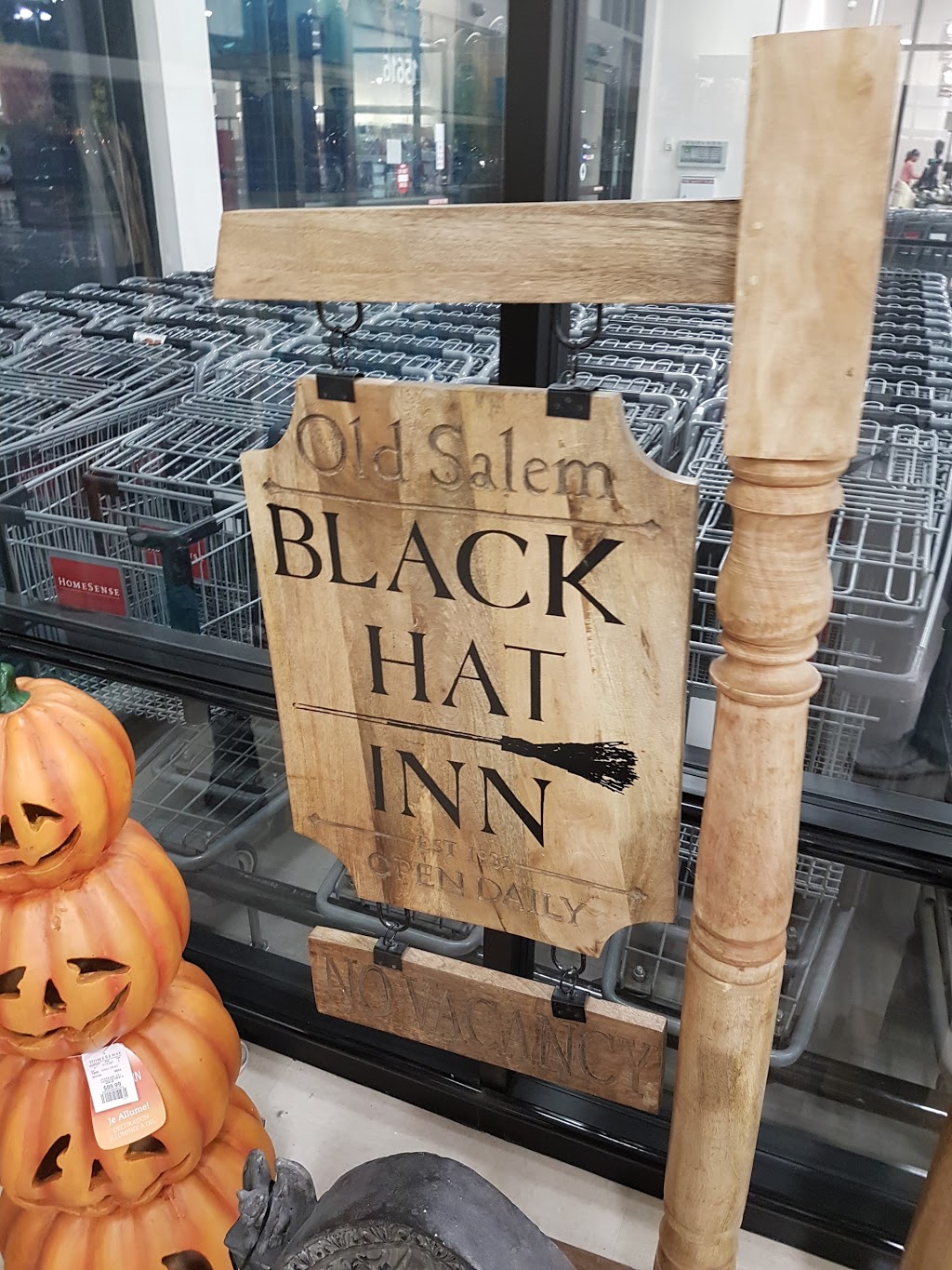 HomeSense | 15616 37 St NW, Edmonton, AB T5Y 0S5, Canada | Phone: (780) 478-2045