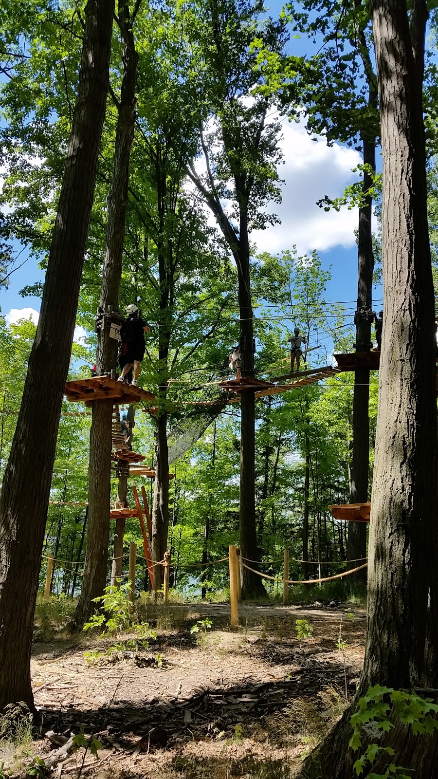 Treetop Trekking Brampton | 10818 Heart Lake Rd, Brampton, ON L6Z 0B3, Canada | Phone: (905) 970-0090