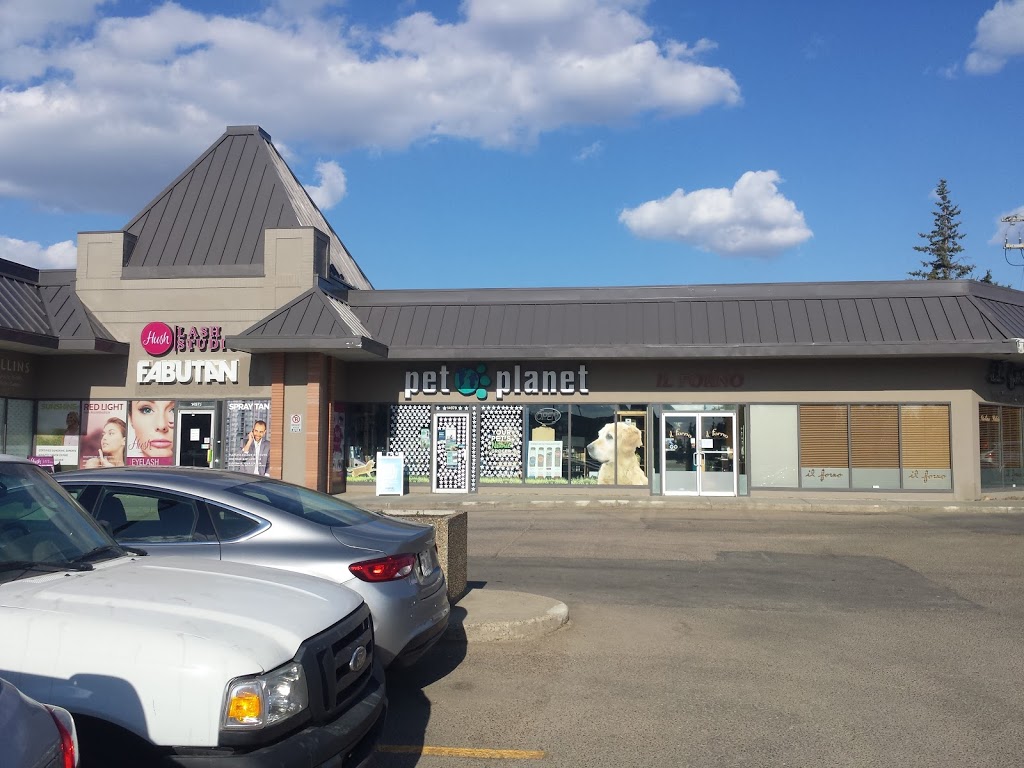 Pet Planet Jasper Gates | 14979 Stony Plain Rd, Edmonton, AB T5P 4W1, Canada | Phone: (780) 489-2072