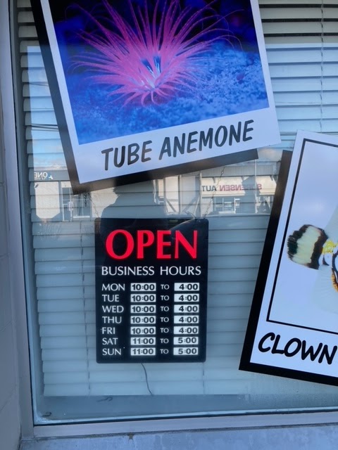 Shiny Fish Ltd | 14770 64 Ave #103, Surrey, BC V3S 1X7, Canada | Phone: (604) 649-1301