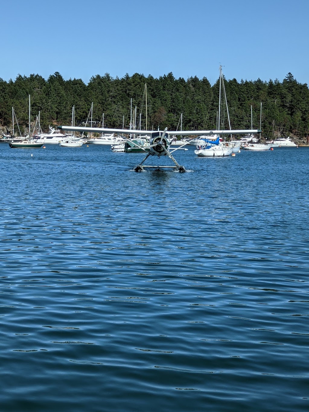 Gulf Island Seaplanes | 3383 South Rd, Gabriola, BC V0R 1X7, Canada | Phone: (250) 247-9992
