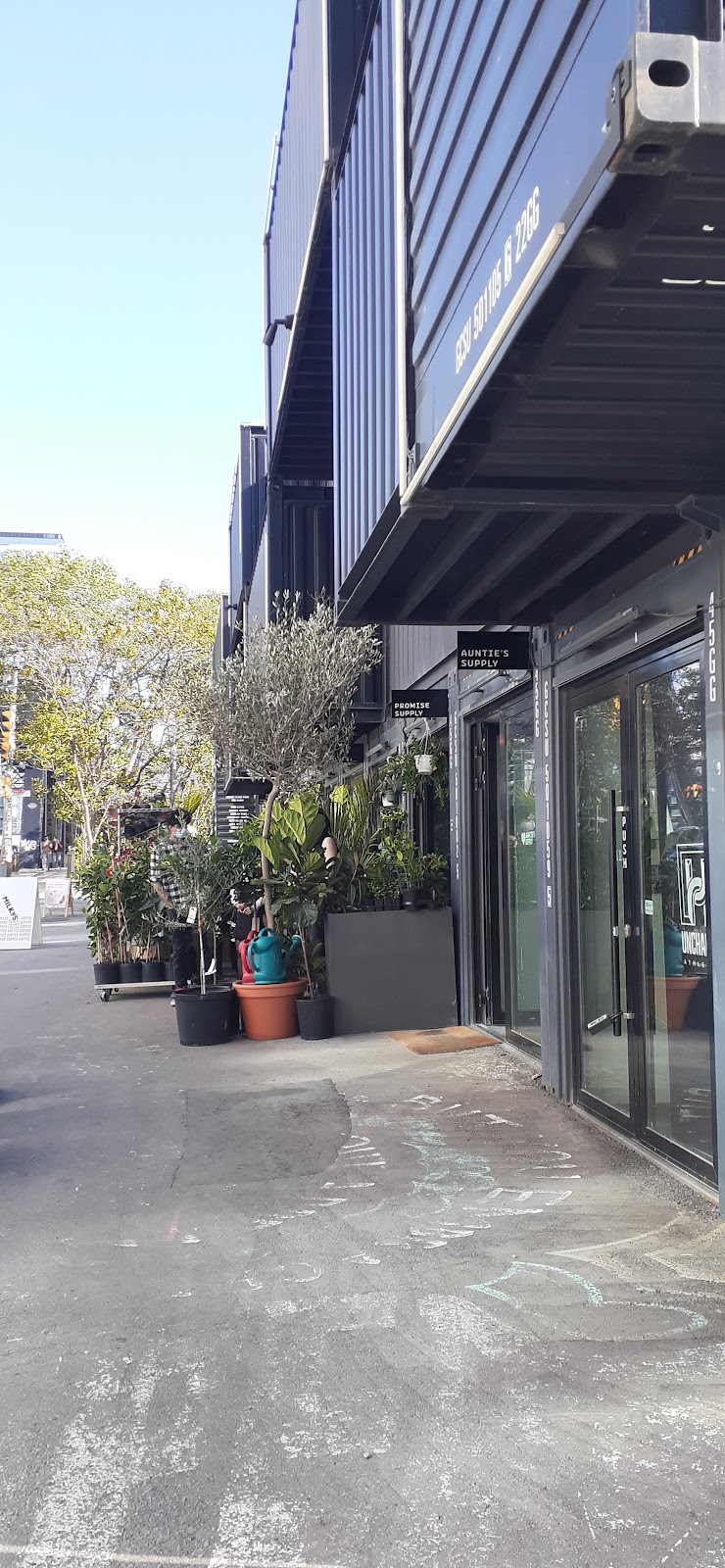 Promise Supply Plants at stackt | 28 Bathurst St, Toronto, ON M5V 0C6, Canada | Phone: (647) 957-8291