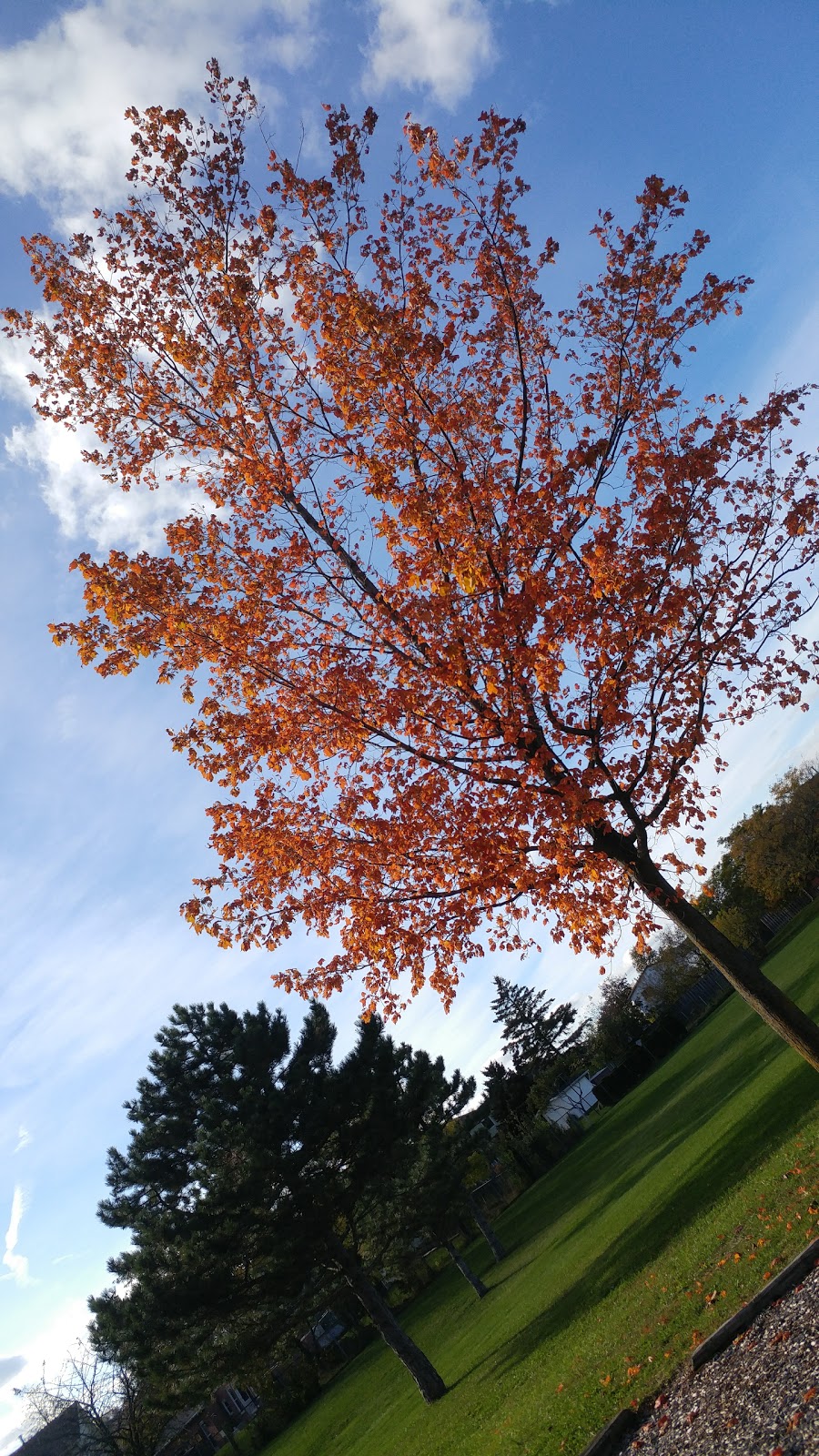Dewitt Park | 151 Glenashton Drive, Hamilton, ON L8G 4E7, Canada | Phone: (905) 634-2971