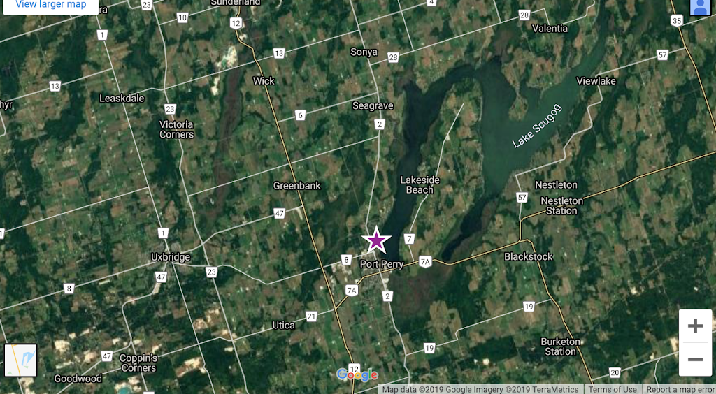 Team Johnston Real Estate - Right At Home Realty | 237 Queen St, Port Perry, ON L9L 1B9, Canada | Phone: (905) 261-8558