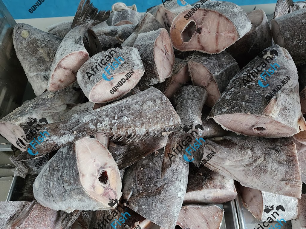 African fish | 1522 Rue Jean-Lachaîne, Sainte-Catherine, QC J5C 1C2, Canada | Phone: (581) 745-2579