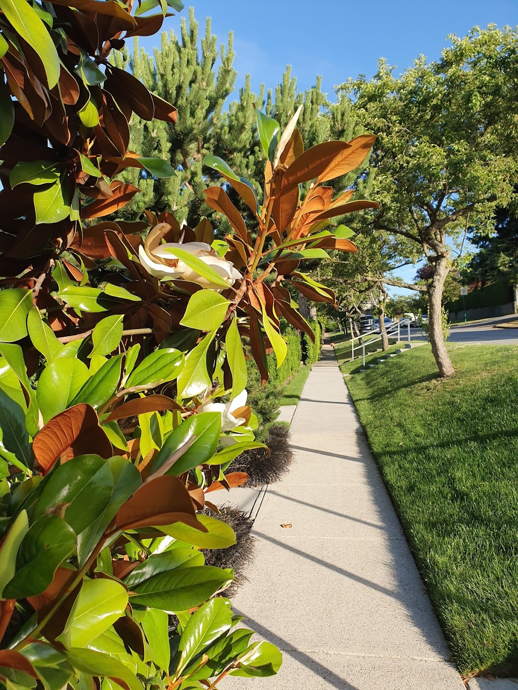 Balaclava Park | 4594 Balaclava St, Vancouver, BC V6L 2T2, Canada | Phone: (604) 873-7000