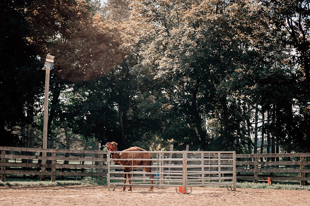 Troy Farms | 2438 Hwy 5 W, Troy, ON L0R 2B0, Canada | Phone: (416) 525-5155