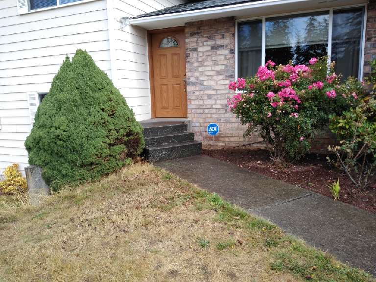 Ridgemont Park | 810 38th St, Bellingham, WA 98229, USA | Phone: (360) 778-7000