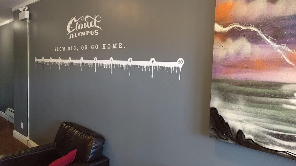 Cloud Olympus | 1025 King St E #105, Cambridge, ON N3H 3P5, Canada | Phone: (519) 588-1610