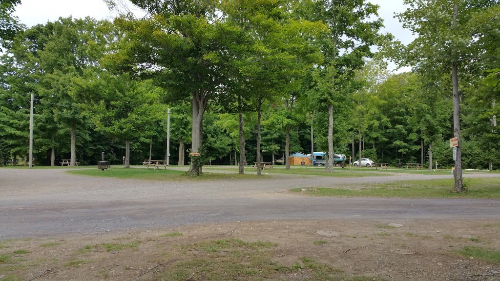 Camping Tropical | 430 ch Sault Rouge, Lyster, QC G0S 1V0, Canada | Phone: (819) 389-1225