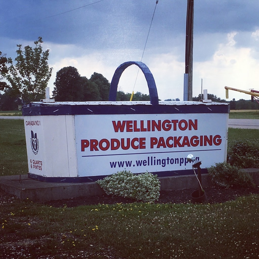 Wellington Produce Packaging | 410 Sligo Rd W, Mount Forest, ON N0G 2L0, Canada | Phone: (519) 323-1060