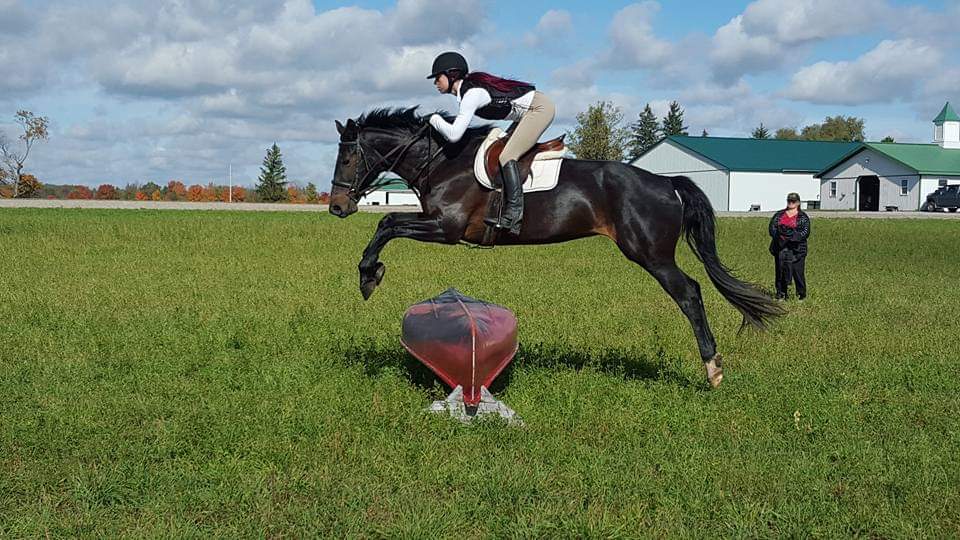 Walden Ridge Equestrian Ctr | 3074 Chilligo Rd, Cambridge, ON N3H 4R6, Canada | Phone: (519) 239-0942