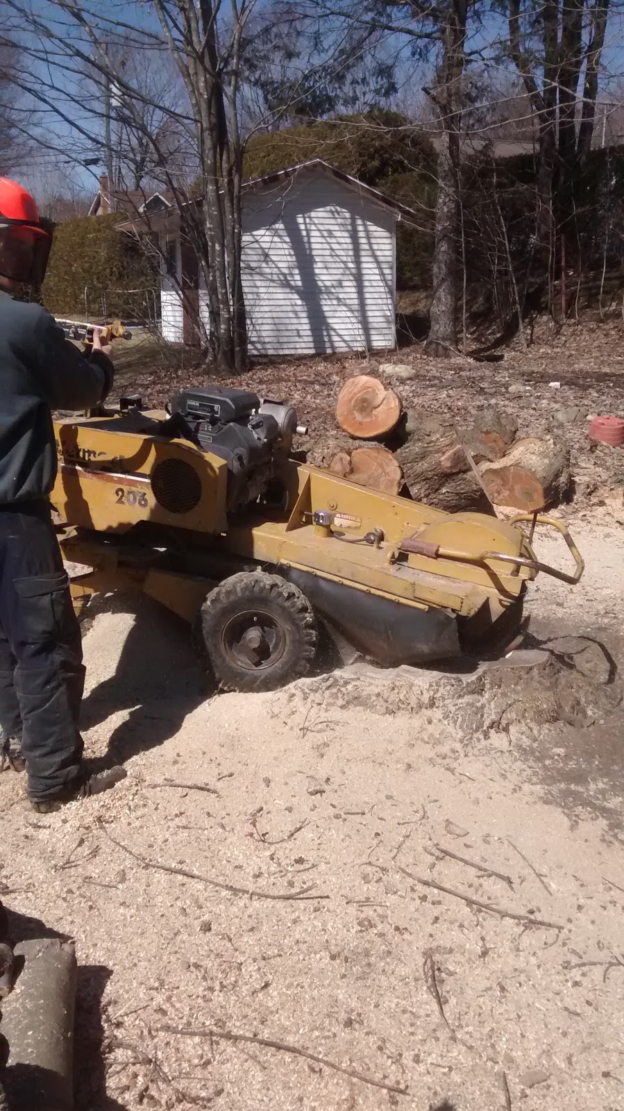 La Cime Arboriculture | 175 Rue Denis, Waterville, QC J0B 3H0, Canada | Phone: (819) 342-9242
