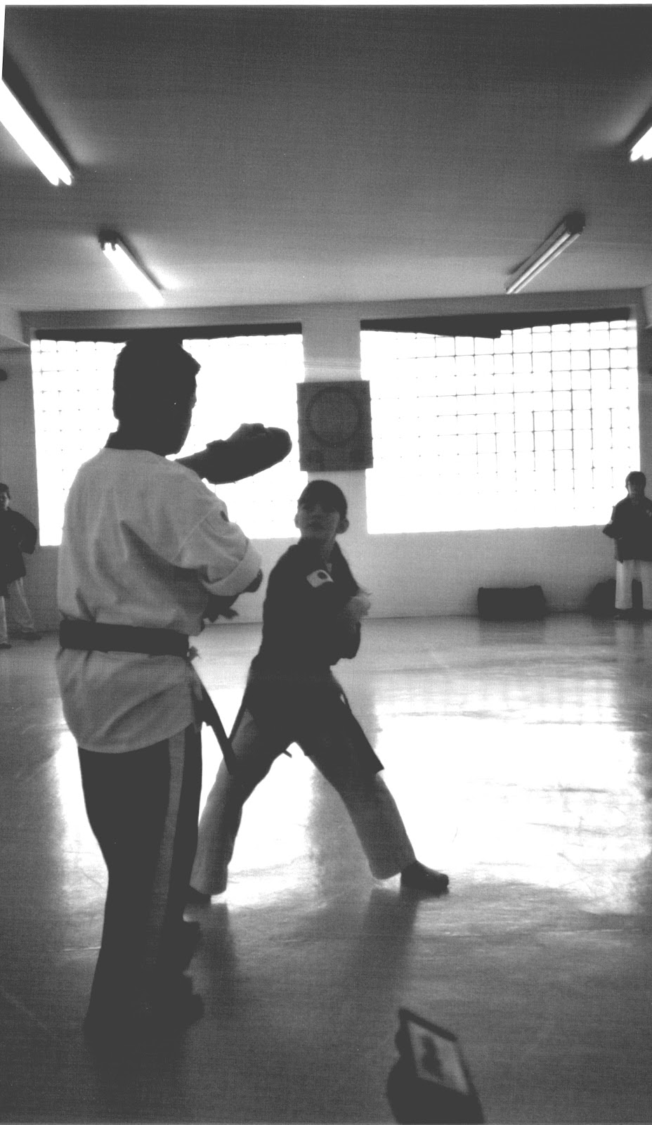 Center Karate Yoseikan Sud-Ouest | 80 Rue Académie, Salaberry-de-Valleyfield, QC J6T 4X1, Canada | Phone: (450) 371-6658
