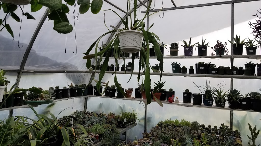 Sandhu Greenhouses | 9707 128 Ave, Osoyoos, BC V0H 1V2, Canada | Phone: (250) 689-0234