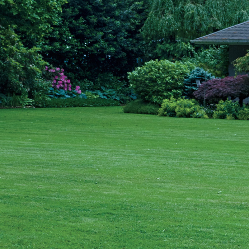 All Weather Mow and Snow | 31 Scenic Way NW, Calgary, AB T3L 1B2, Canada | Phone: (403) 519-8849