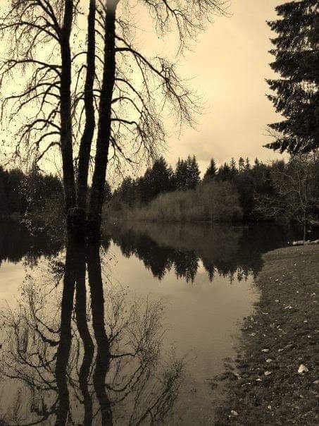 Marble Bay Park | Nighthawk Rd, Mesachie Lake, BC V0R 2N0, Canada | Phone: (250) 746-2620