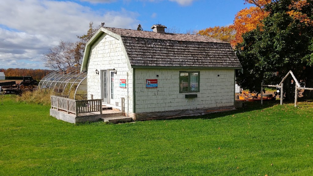 The Dandi Dog | 2459 Nineteen Rd, Kensington, PE C0B 1M0, Canada | Phone: (902) 438-1445