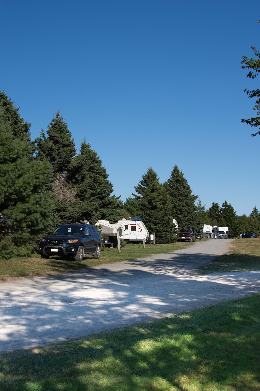 Ponderosa Pines Campground | 4325 NB-114, Lower Cape, NB E4H 3P1, Canada | Phone: (800) 822-8800