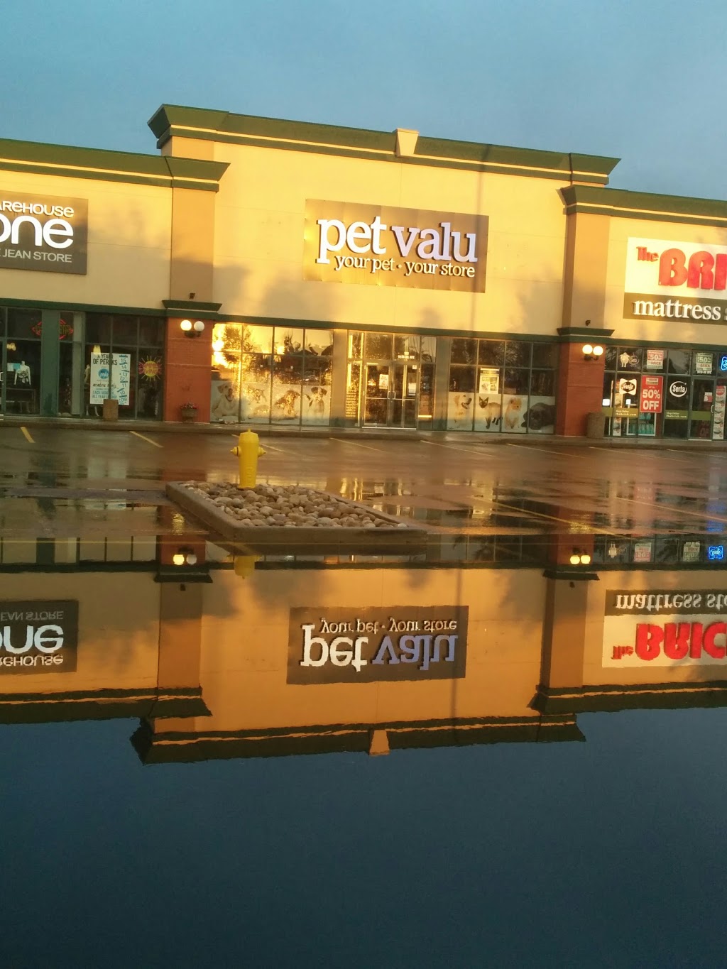 Pet Valu | 9410 86 Ave #103, Fort Saskatchewan, AB T8L 4P4, Canada | Phone: (780) 998-0955