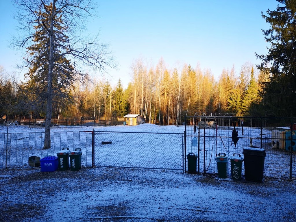 The Ranch | 16669 7th Concession Rd, King City, ON L7B 0E4, Canada | Phone: (647) 520-1359