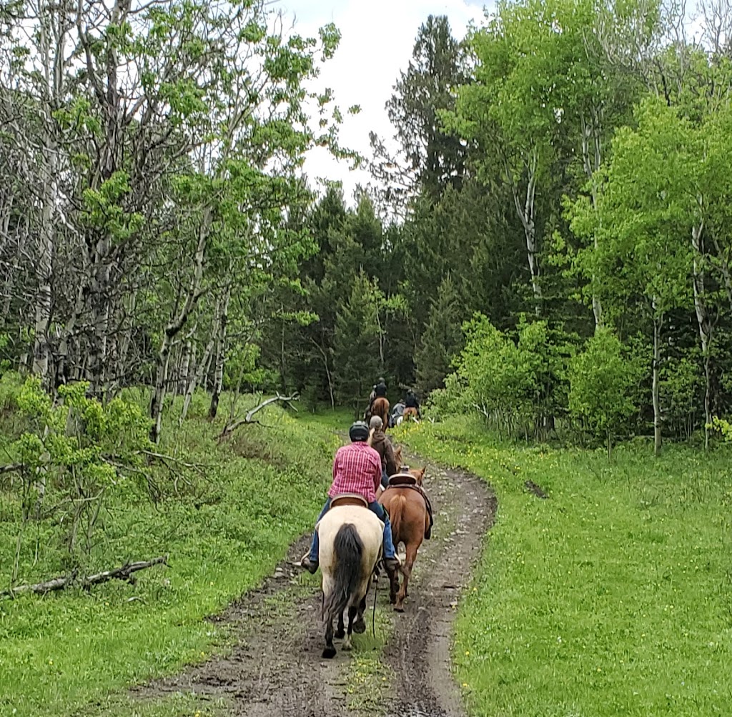 Bob Creek Wildland | Coleman, AB T0K 0M0, Canada | Phone: (403) 627-1165
