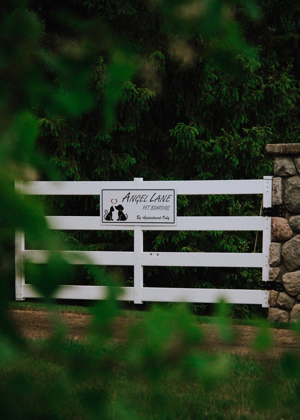 Angel Lane Pet Boarding | 433002 RR31, Rimbey, AB T0C 2J0, Canada | Phone: (403) 704-6180