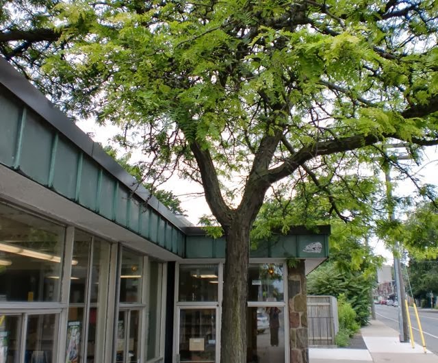 Toronto Public Library - Jones Branch | 118 Jones Ave, Toronto, ON M4M 2Z9, Canada | Phone: (416) 393-7715