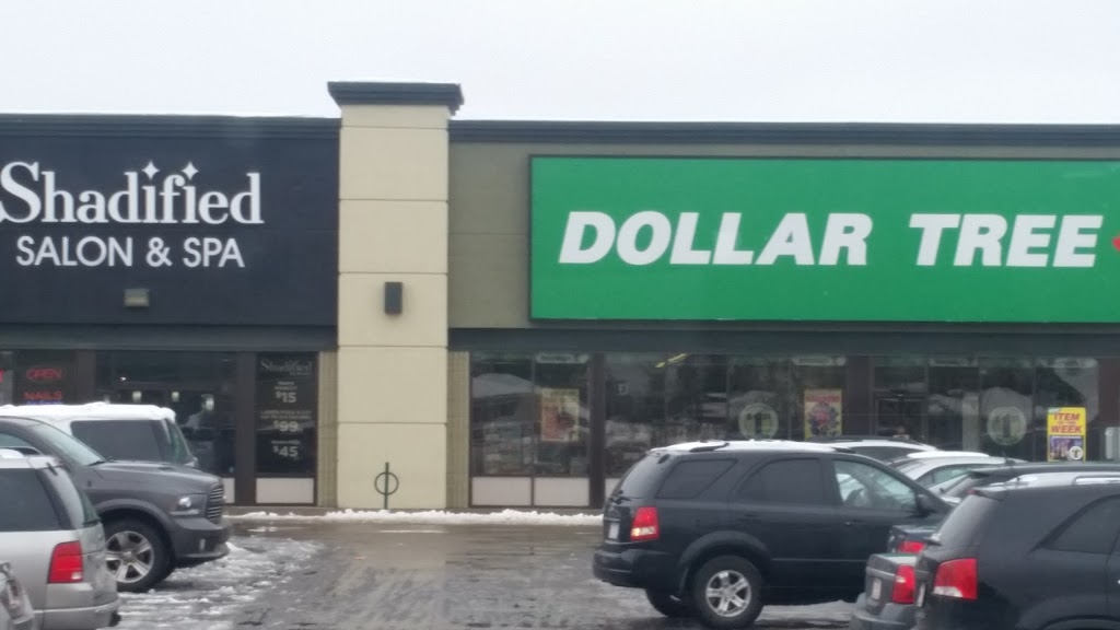 Dollar Tree | 124-12222 137th Avenue, North W, Edmonton, AB T5L 4X5, Canada | Phone: (780) 473-0783