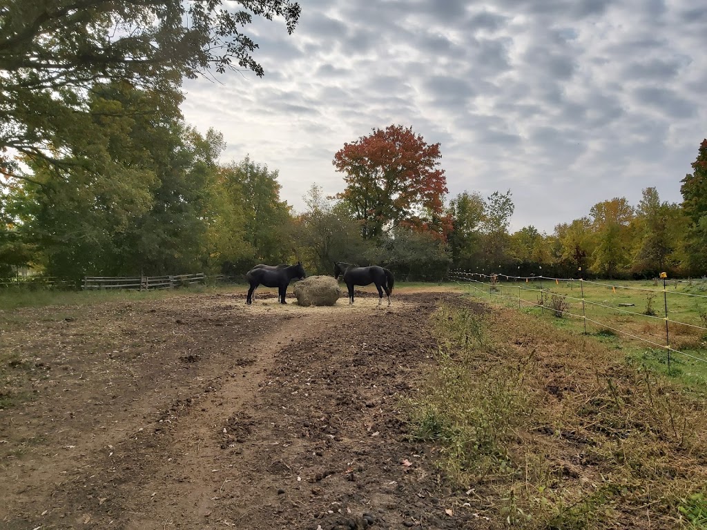 Sherwood Farms | 4419 Kilkenny Rd, Lyn, ON K0E 1M0, Canada | Phone: (613) 556-0466