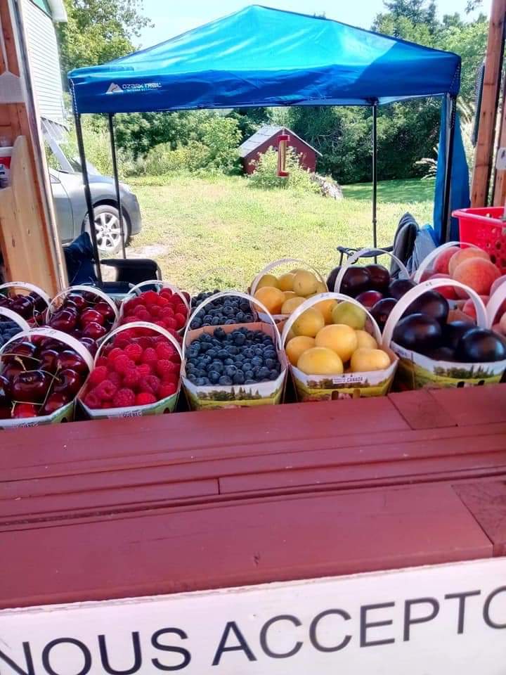 Le Potager de Francoise | 1841 Principale St, Chute-à-Blondeau, ON K0B 1B0, Canada | Phone: (450) 612-4746