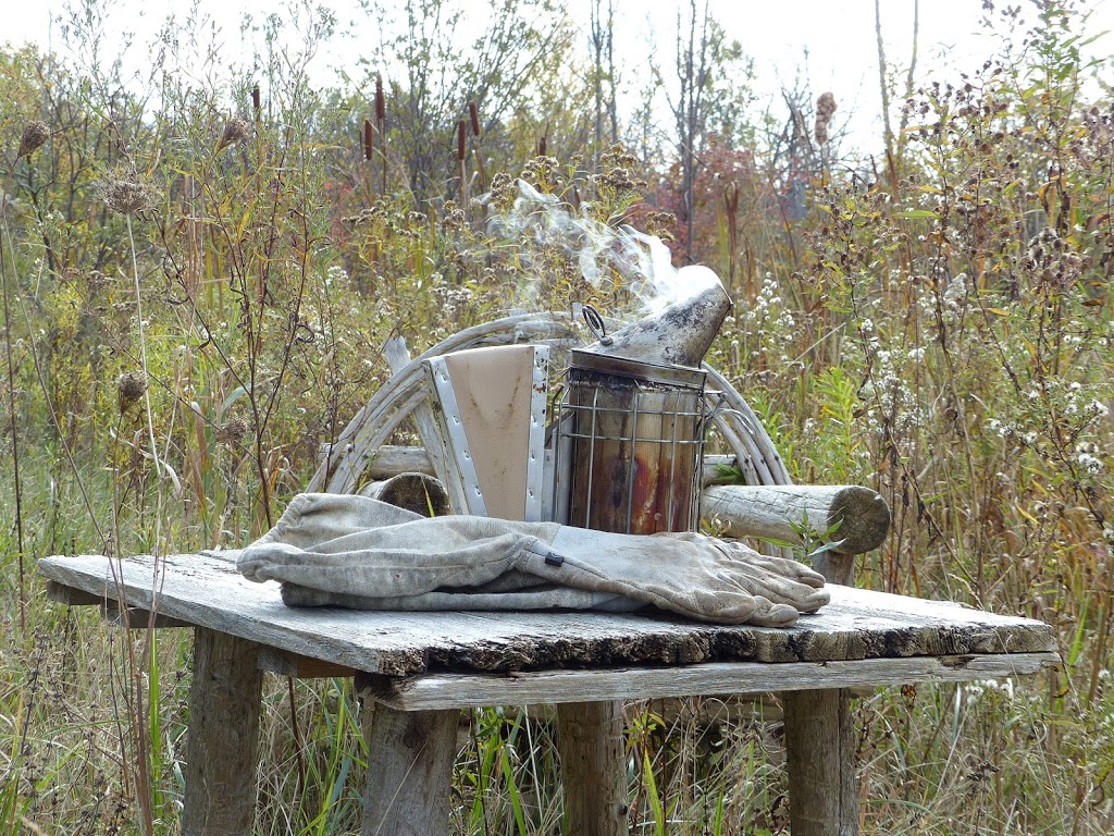 Kiss My Bees Honey | 15 Firner St, Hampton, ON L0B 1J0, Canada | Phone: (905) 728-9419