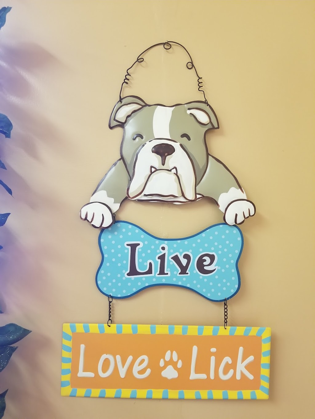 Paw Shoppe & Kennel | 662 Gondola Point Rd, Quispamsis, NB E2E 1L7, Canada | Phone: (506) 847-8812