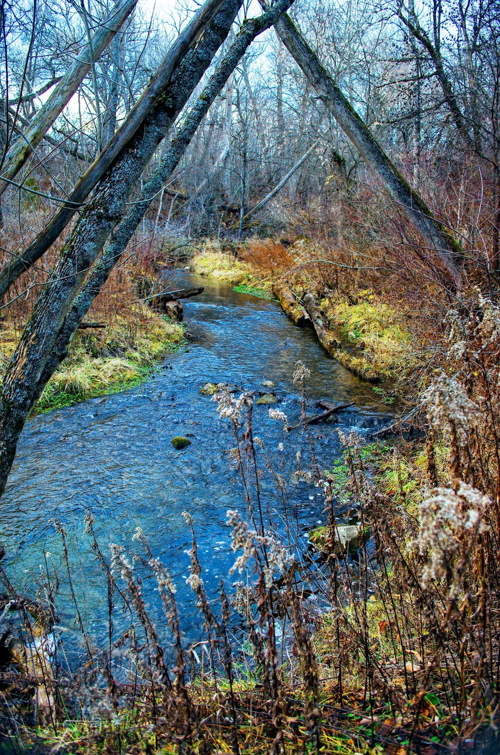Enniskillen Conservation Area | Hampton, ON L0B 1J0, Canada | Phone: (905) 579-0411