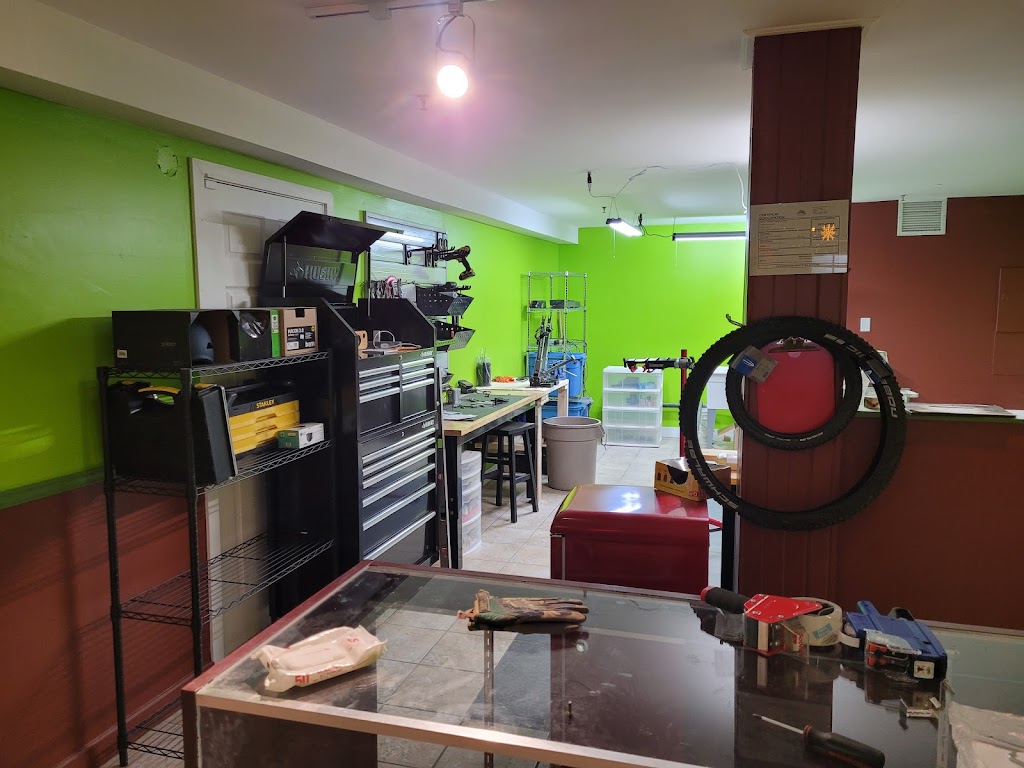 Les SurVoltés | 1337 Rue de la Sapinière, Val-David, QC J0T 2N0, Canada | Phone: (819) 324-6068