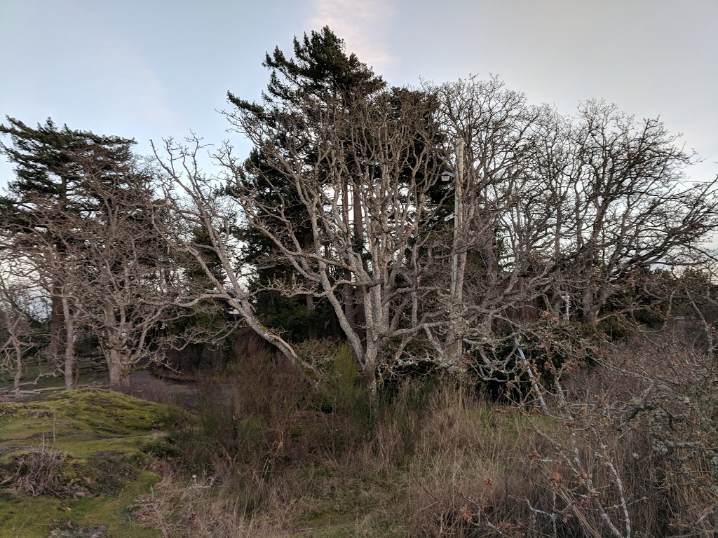 Gonzales Hill Regional Park | Denison Rd, Victoria, BC V8S 4K3, Canada | Phone: (250) 360-3000