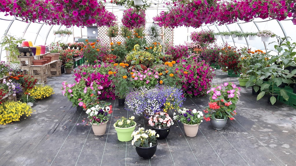 Doyles Farm Market | 4844 NS-12, Kentville, NS B4N 3V8, Canada | Phone: (902) 678-1206