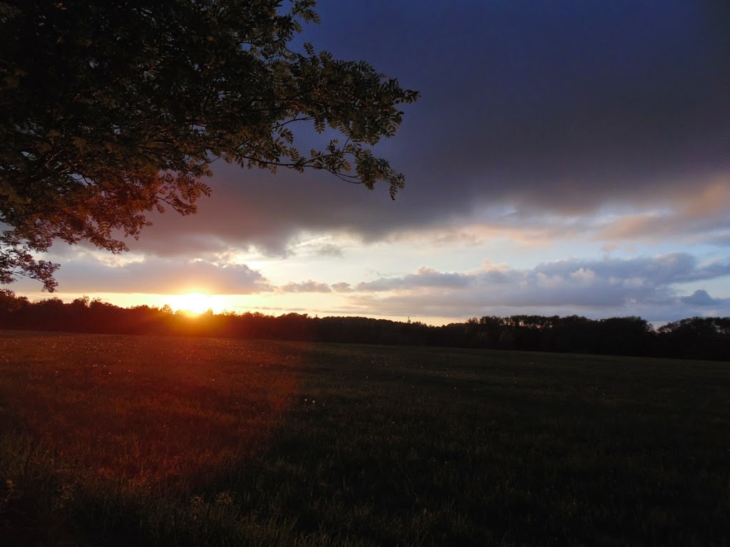 ACCE Photography | Shelburne, ON L0N 1S4, Canada | Phone: (905) 872-5070