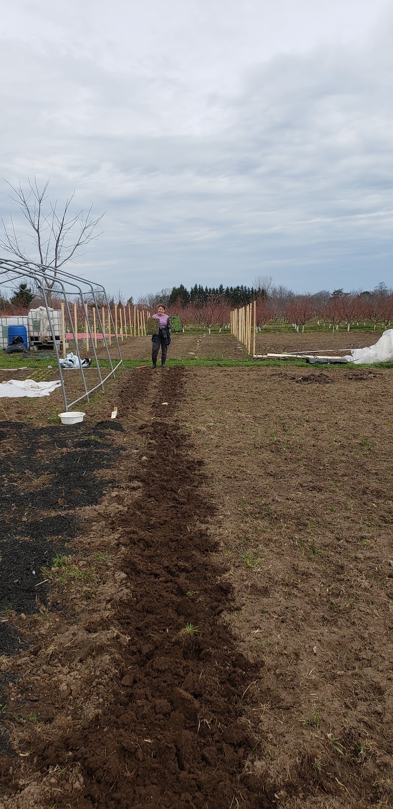 Ritas veggies farm | 4823 Thirty Rd N, Beamsville, ON L0R 1B3, Canada | Phone: (905) 587-0200
