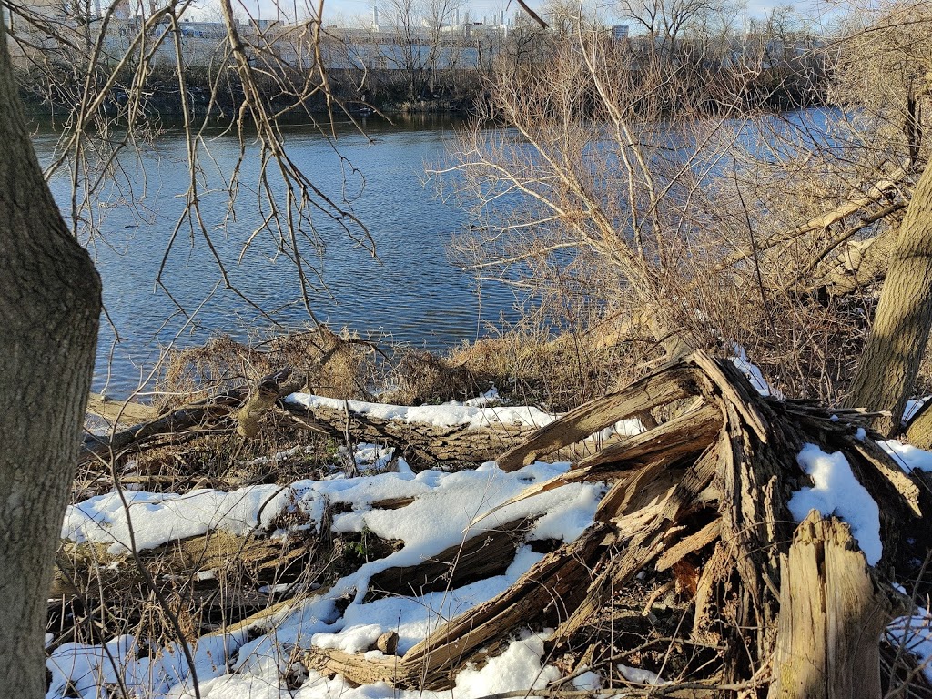 Cambridge to Paris Rail Trail - Cambridge Trailhead | 210 Water St S, Cambridge, ON N1R 5S6, Canada | Phone: (519) 621-2761