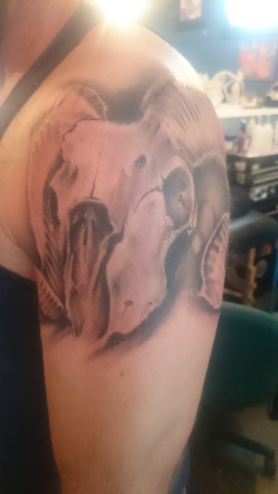 Monkey Skull Arts | 4127 4 St NW, Calgary, AB T2K 1A3, Canada | Phone: (403) 630-6692