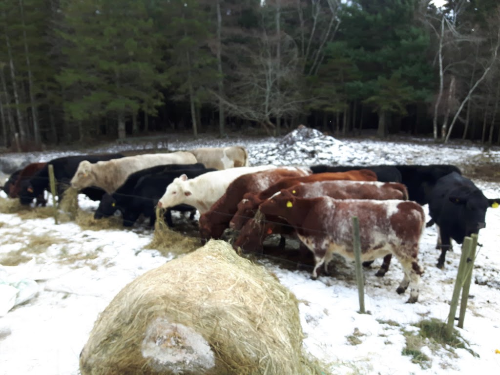 EIEIO Farm and Greenhouses | 503 Cornwall Rd, Blockhouse, NS B0J 1E0, Canada | Phone: (902) 624-9636