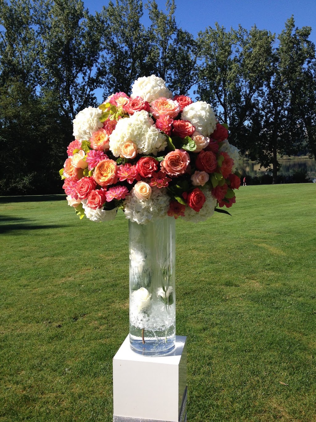 Fresh Blooms Flowers | 5956 200 St, Langley City, BC V3A 1N3, Canada | Phone: (778) 278-8818