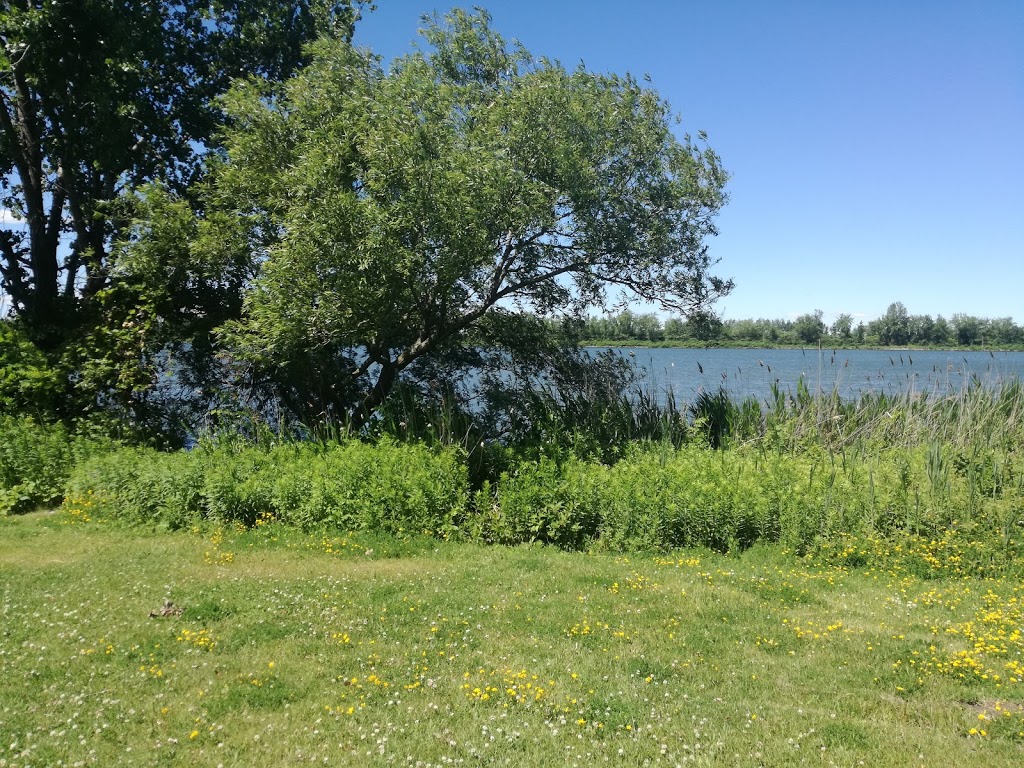Léon-Gravel Park | 93 Boulevard Marie-Victorin, Brossard, QC J4X 1A3, Canada