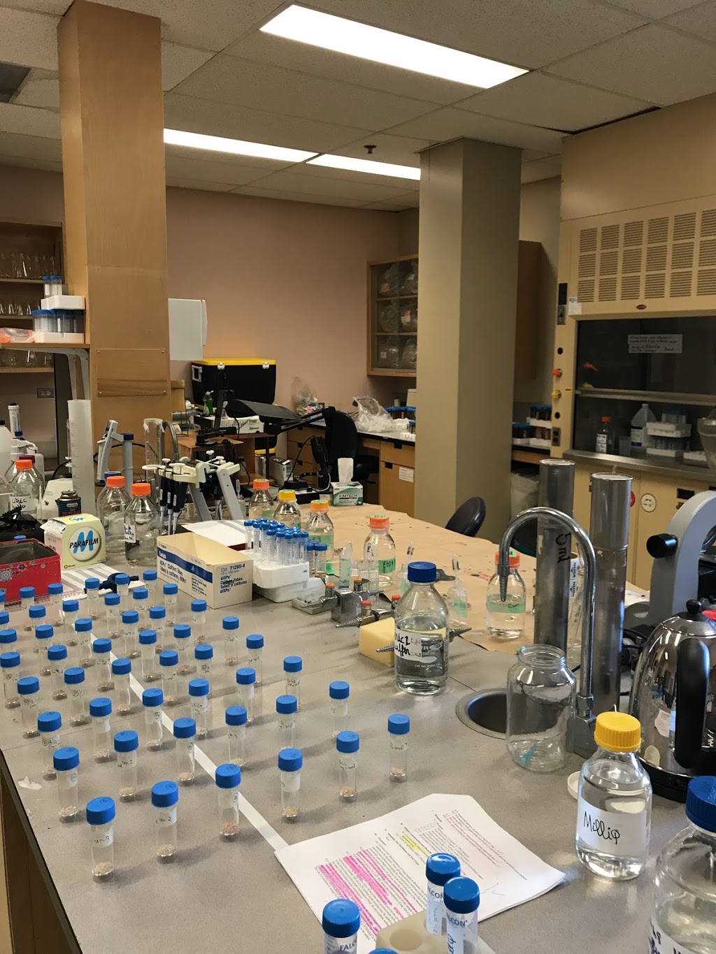 Institut de recherche en biologie végétale de lUniversité de Mo | 4101 Rue Sherbrooke E, Montréal, QC H1X 2B2, Canada | Phone: (514) 343-2121