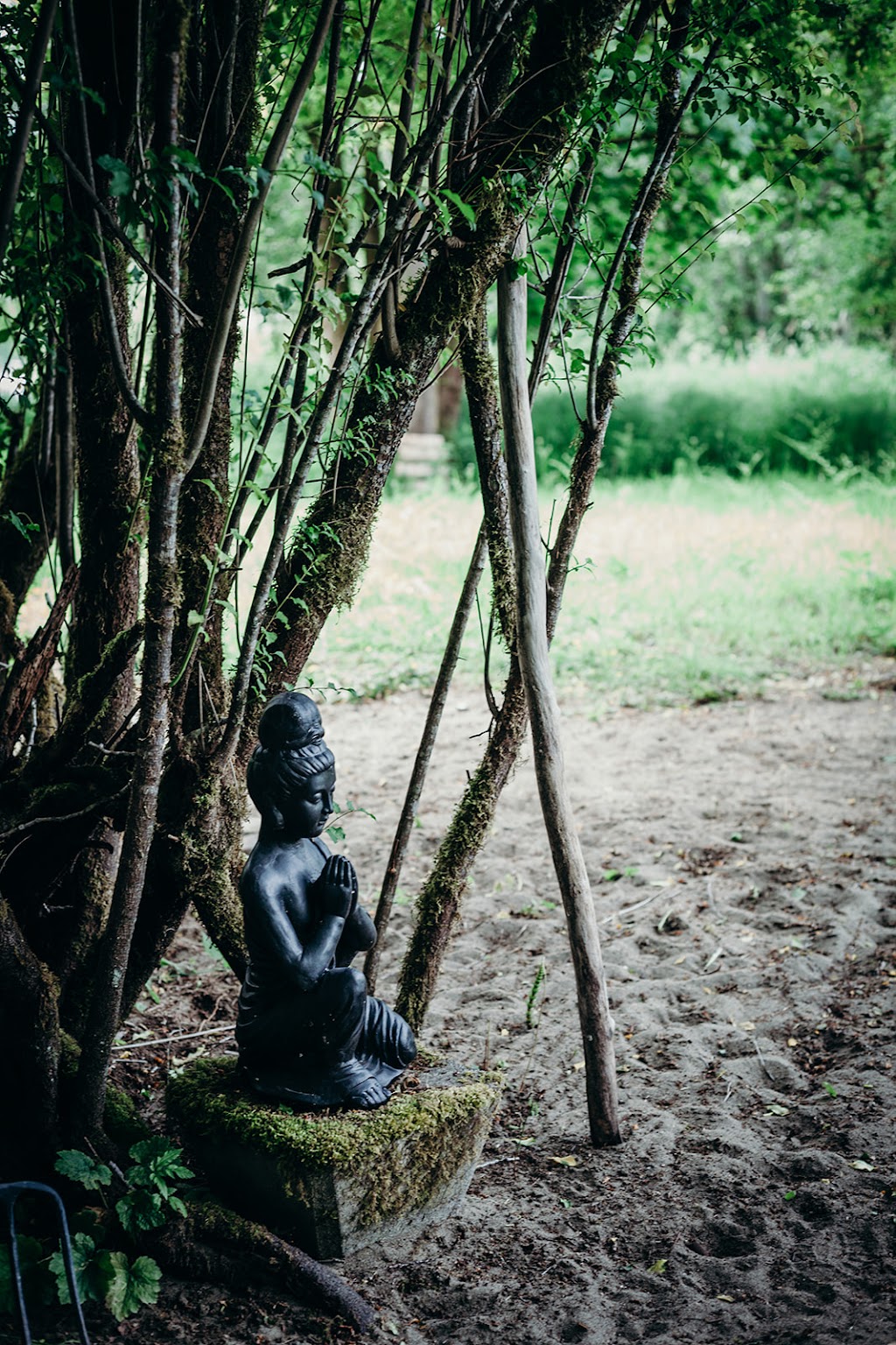 Ener_Chi Holistic Healing | #5401, Port Alberni, BC V9Y 9G1, Canada | Phone: (250) 242-0114