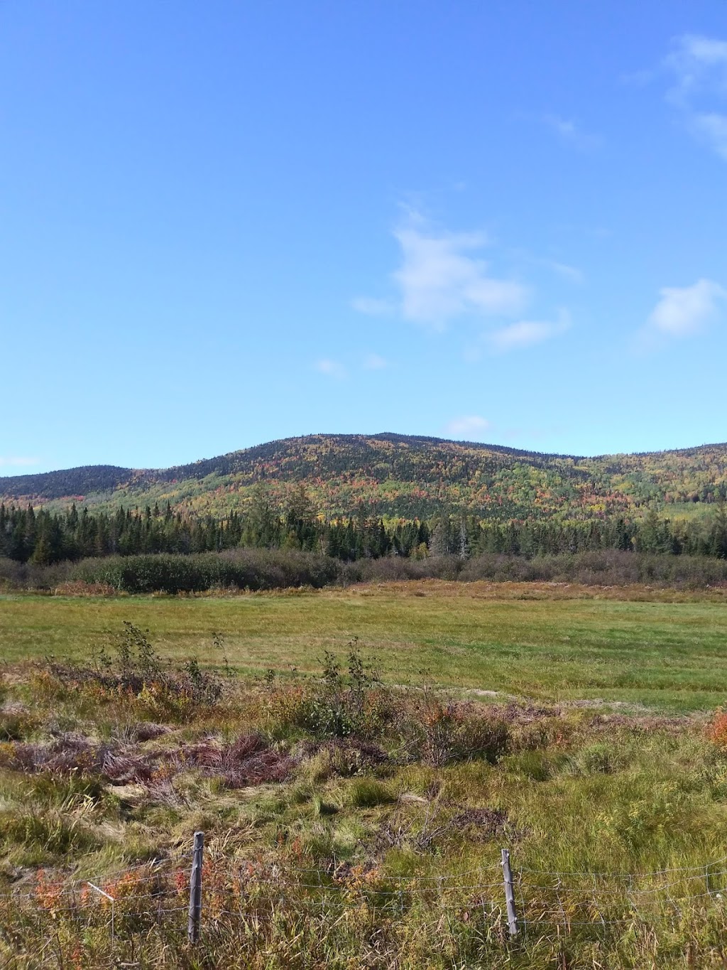 Oasis du grand fond | 46 Chemin Grand Fonds N, La Malbaie, QC G5A 1Z8, Canada | Phone: (418) 956-9047