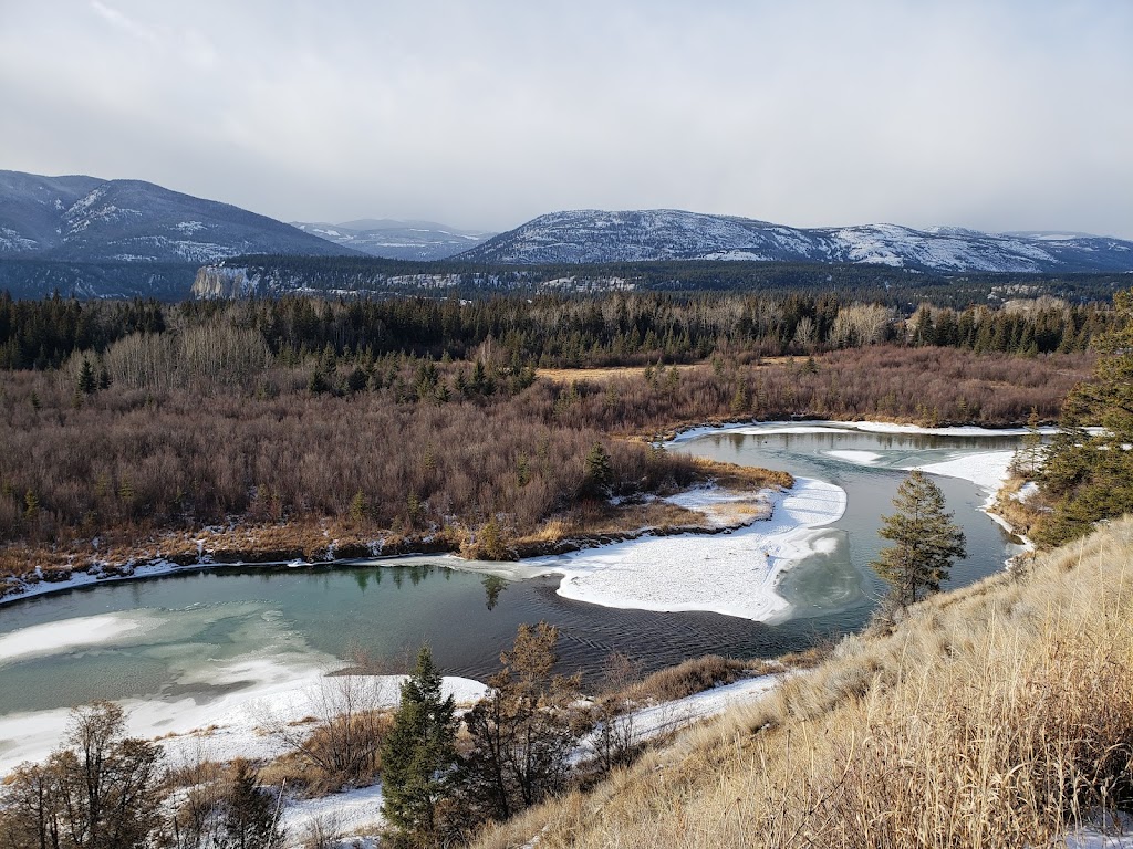 Tracy Carson Realtor | 5019 Fairmont Resort Rd #3, Fairmont Hot Springs, BC V0B 1L1, Canada | Phone: (250) 688-9107